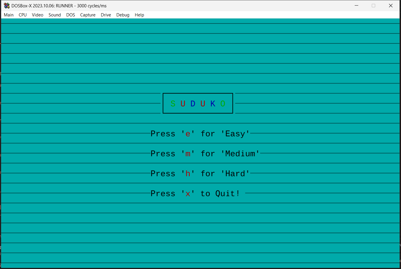 Screenshot of Sudoku Game